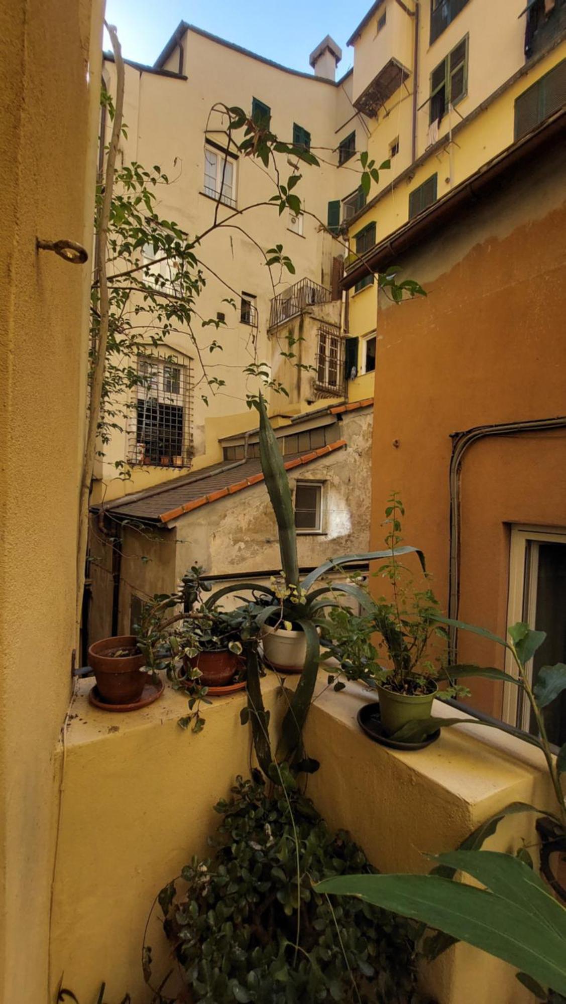 L'Angolo Verde In San Luca Genoa Bagian luar foto