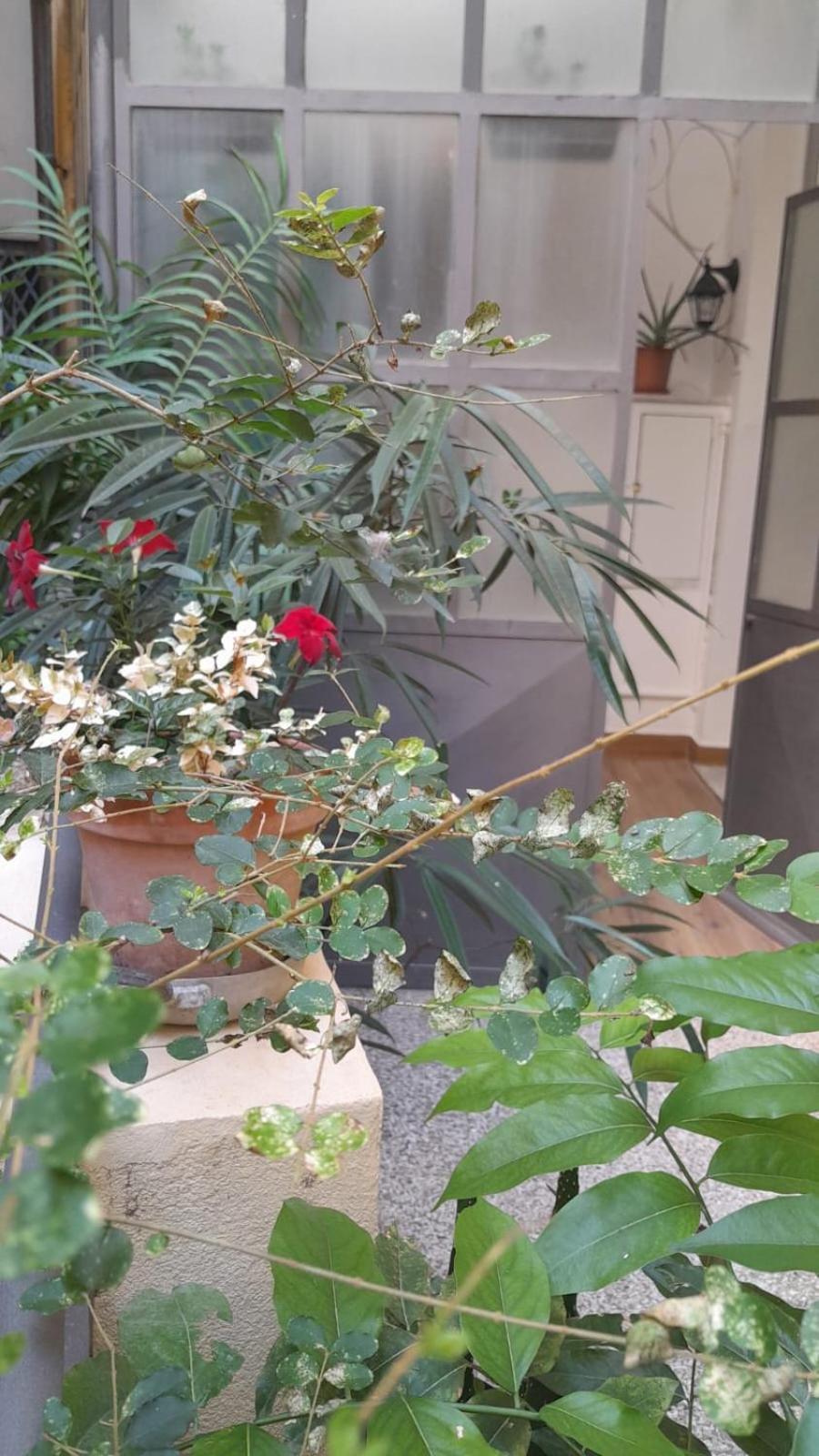 L'Angolo Verde In San Luca Genoa Bagian luar foto